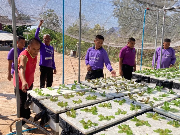 พ.ต.อ.ณรงค์ศักดิ์ ศรีนารอด ผกก.สภ.บางม่วง พร้อมด้วย ข้าราชการตำรวจพันธุ์ดี สภ.บางม่วง เข้าเยี่ยมชมศึกษาดูงานการทำสวนผักไฮโดรโปนิกส์ ณ สวนผักลุงถมป้านกฟาร์ม